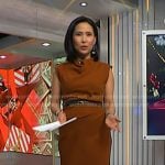 Vicky's brown belted dress on NBC News Daily