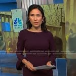 Vicky’s purple bell sleeve dress on NBC News Daily