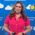 Violeta Yas’ pink polo dress on NBC News Daily
