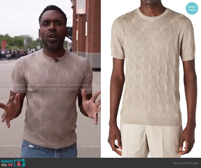 Emporio Armani Short Sleeve Sweater worn by Justin Sylvester on Today