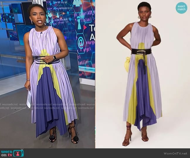 Bibhu Mohapatra Collective Pleated Panel Dress worn by Zinhle Essamuah on NBC News Daily