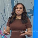 Adelle’s brown short sleeve seamed dress on Today