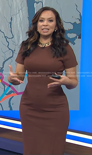 Adelle’s brown short sleeve seamed dress on Today