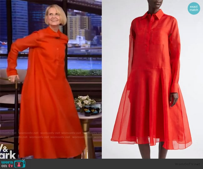 Altuzarra Sissy silk-organza midi dress worn by Cynthia Nixon on Live with Kelly and Mark