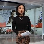 Vicky’s zebra stripe colorblock dress on NBC News Daily