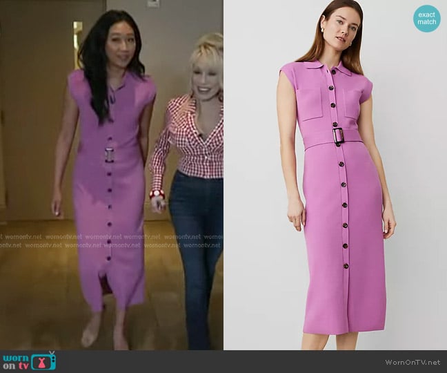 Ann Taylor Button Sweater Sheath Dress in Orchid Glow worn by Kathy Park on Today