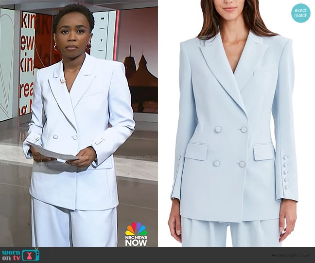 BCBGMAXAZRIA Double Breasted Blazer worn by Zinhle Essamuah on NBC News Daily