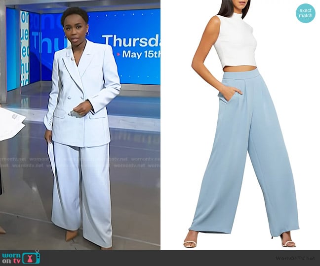 BCBGMAXAZRIA Pleat-Front Wide-Leg Pants worn by Zinhle Essamuah on NBC News Daily