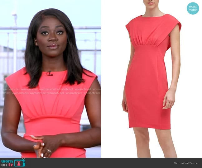 Calvin Klein Solid Capelet Empire-Waist Sheath Dress in Watermelon worn by Faith Abubey on Good Morning America
