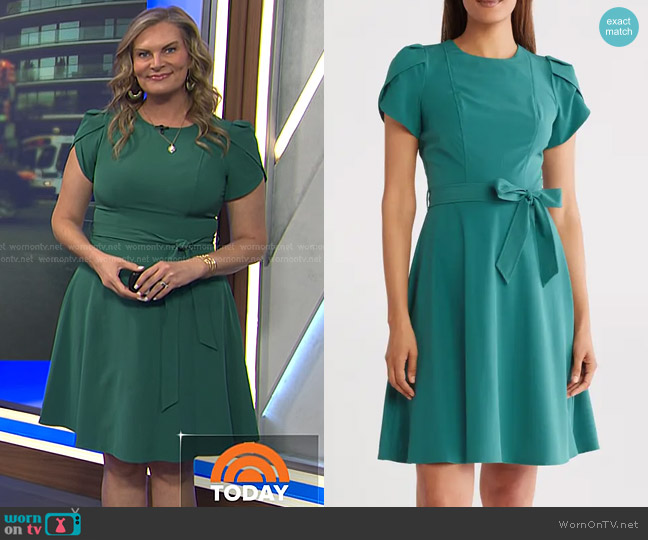 Calvin Klein Tulip Sleeve A-Line Dress worn by Emily West on Today