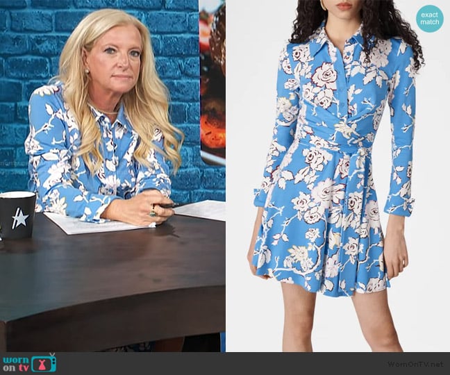 Alison Triessl’s blue floral print dress on Access Hollywood