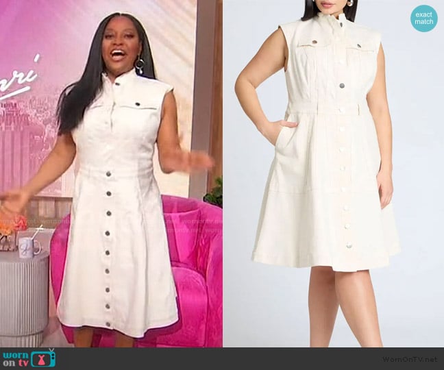 Eloquii Denim Fit & Flare Dress worn by Sherri Shepherd on Sherri
