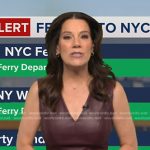 Heather’s burgundy v-neck leather dress on Good Morning America