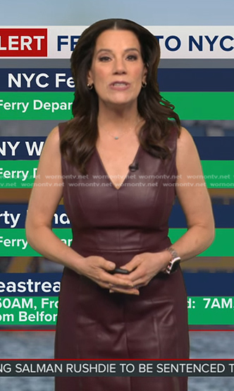 Heather's burgundy v-neck leather dress on Good Morning America