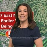 Heather’s navy gathered dress on Good Morning America