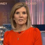 Kate’s orange puff sleeve top on NBC News Daily
