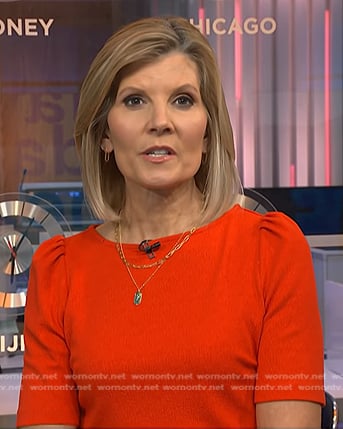 Kate’s orange puff sleeve top on NBC News Daily