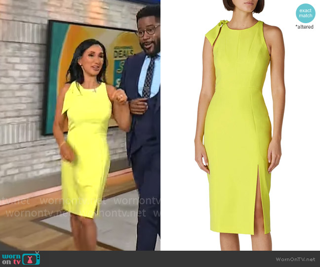 Milly Caedyn Dress worn by Elizabeth Werner on CBS Mornings