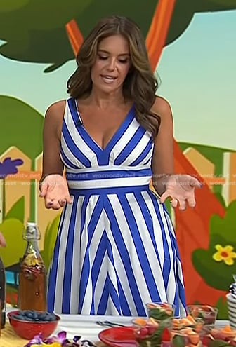 Monica Mangin’s blue striped v-neck dress on Today