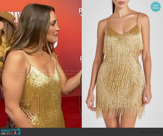 Nadine Merabi Tammy Gold Beaded Fringe Cocktail Minidress worn by Emily Orozco on Access Hollywood