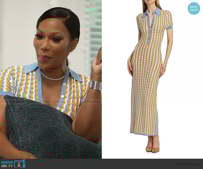 Ronny Kobo Quinlan Striped Knit Maxi Dress worn by Angela Oakley on The Real Housewives of Atlanta