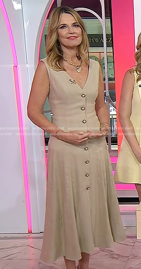Savannah’s beige button front v-neck dress on Today