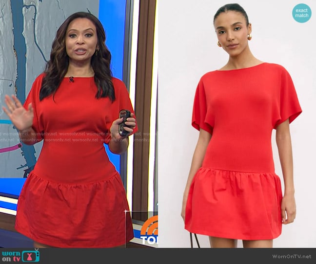 Suboo Naples Drop Waist Mini Dress worn by Adelle Caballero on Today