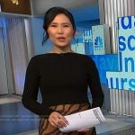 Vicky’s zebra stripe colorblock dress on NBC News Daily