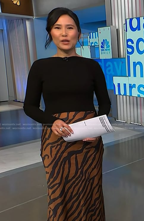 Vicky’s zebra stripe colorblock dress on NBC News Daily