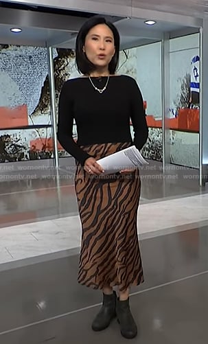Vicky's zebra stripe colorblock dress on NBC News Daily
