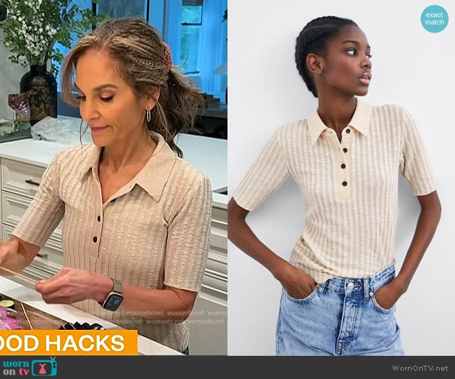 Zara Semi Sheer Polo worn by Joy Bauer on Today