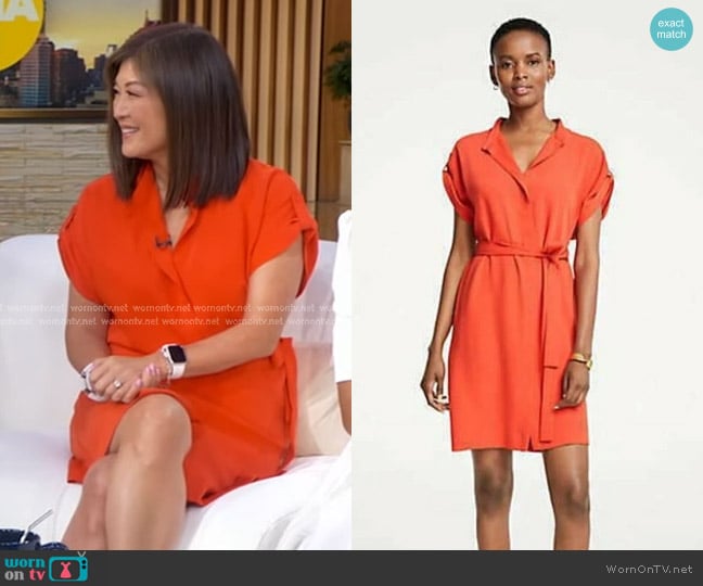 Ann Taylor Rolled Sleeve Tie Waist Dress worn by Juju Chang on Good Morning America
