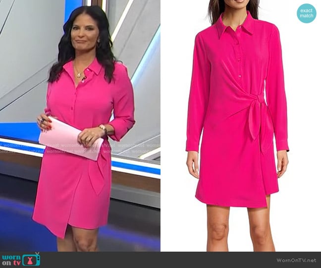 Alex Marie Ryden Point Collar Button Down Long Sleeve Wrap Dress worn by Darlene Rodriguez on Today