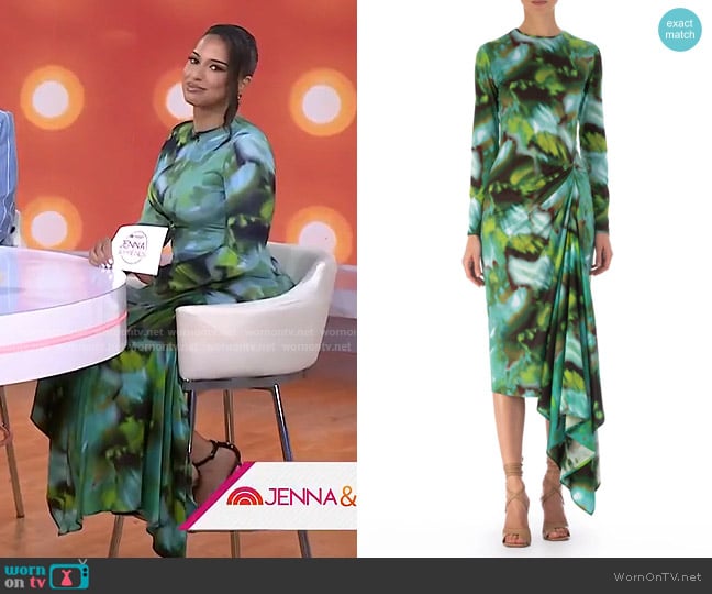Silvia Tcherassi Ananya Dress in Juniper Green worn by Nessa Diab on Today