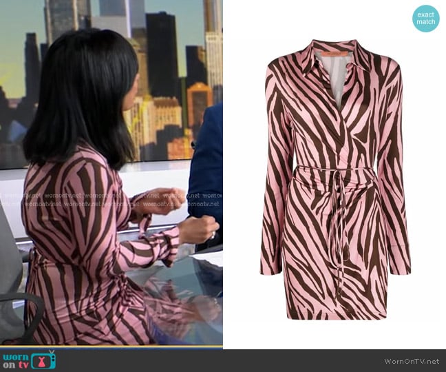 Andamane Jane Animal-print Wrap Minidress worn by Dr. Tara Narula on Good Morning America
