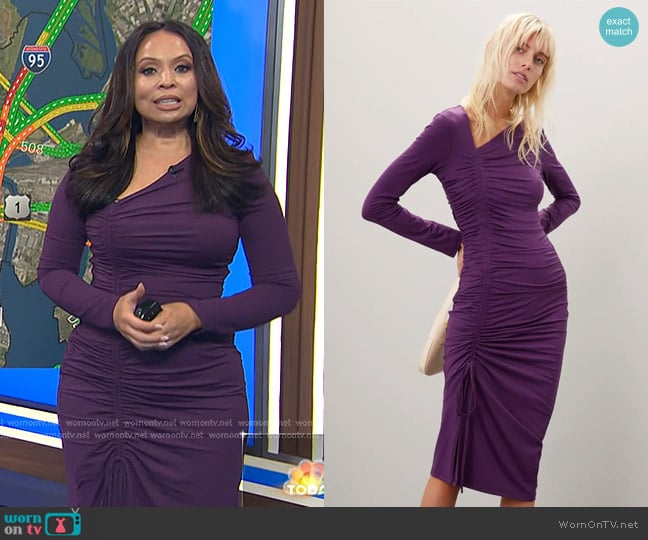 Rachel Parcell Asymmetric Shirred Long Sleeve Dress worn by Adelle Caballero on Today