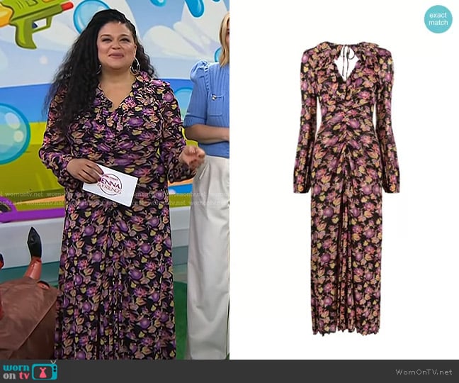 Diane von Furstenberg Floral-print Ruched Dress worn by Michelle Buteau on Today