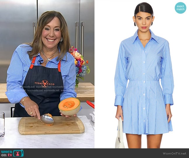 Karina Grimaldi Blair Mini Dress in French Stripe worn by Elizabeth Heiskell on Today