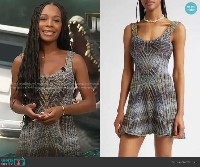 Paolina Russo Warrior Fit & Flare Mini Sweater Dress in Indigo worn by Zuri Hall on Access Hollywood