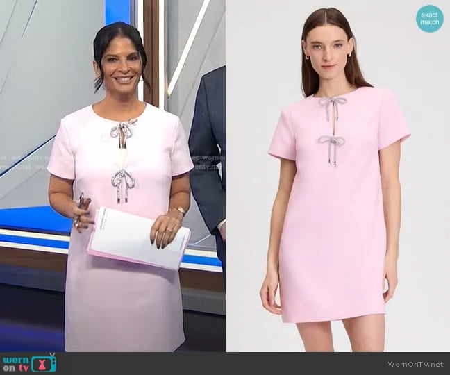 Kate Spade Rhinestone Bow Dress in Pink Lemonade worn by Darlene Rodriguez on Today