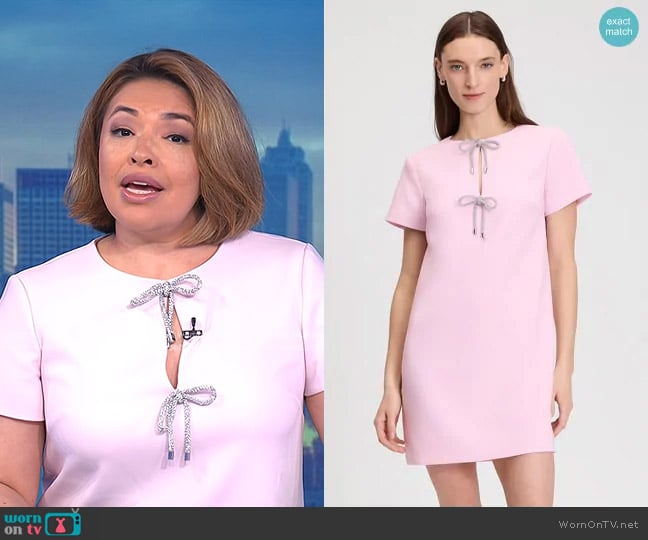 Kate Spade Rhinestone Bow Dress in Pink Lemonade worn by Gilma Avalos on Today