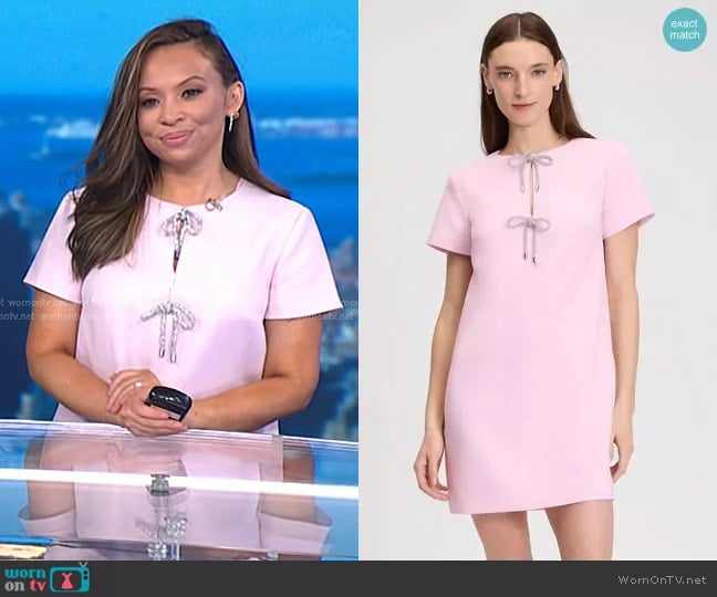 Kate Spade Rhinestone Bow Dress in Pink Lemonade worn by Adelle Caballero on Today