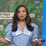 Adelle’s blue striped puff sleeve top on Today