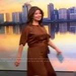 Ana’s brown tie waist dress on The View