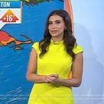 Angie Lassman’s yellow pleated mini dress on Today