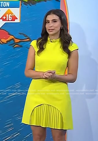 Angie Lassman’s yellow pleated mini dress on Today