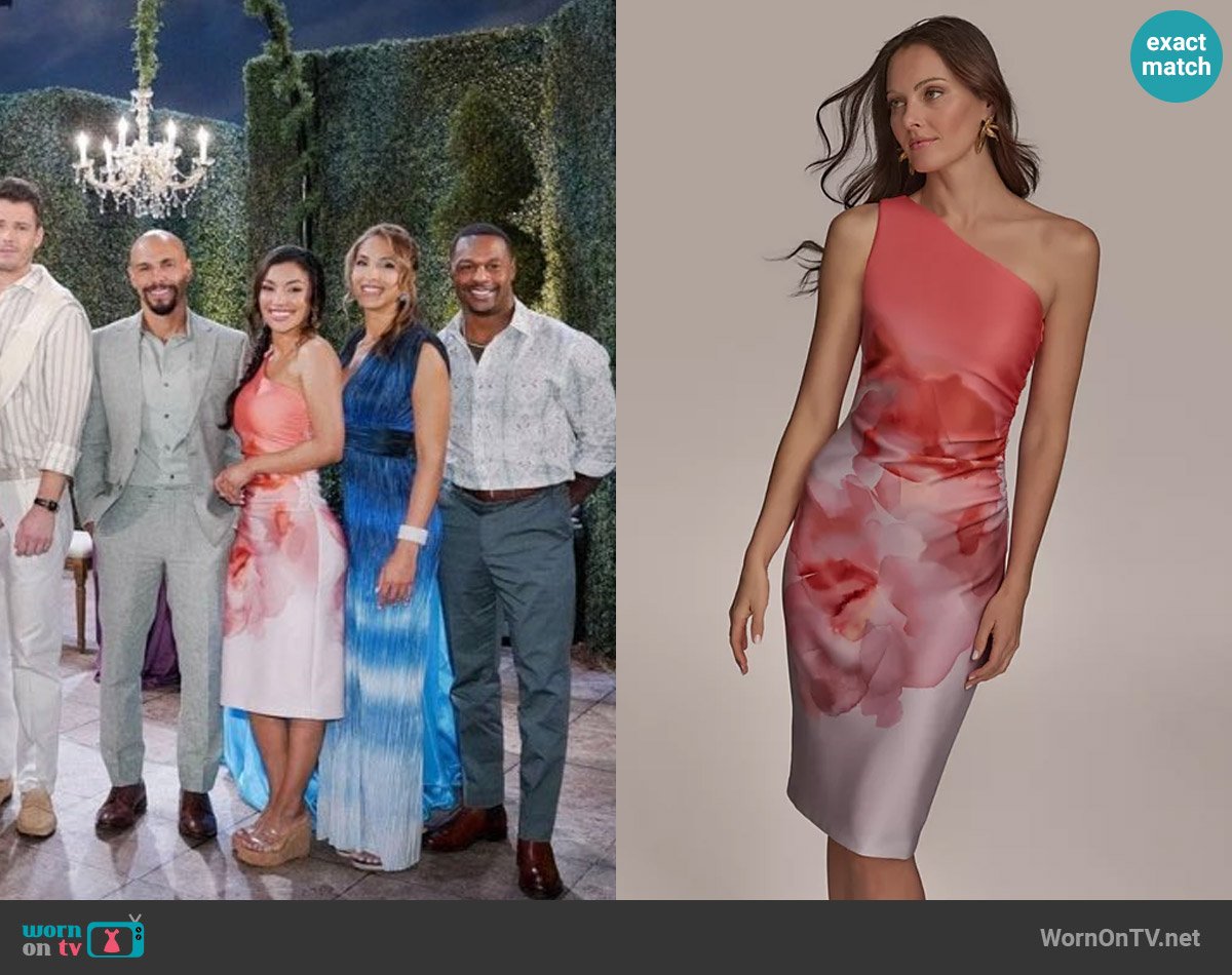 Donna Karan Printed One-Shoulder Dress worn by Audra Charles (Zuleyka Silver) on The Young and the Restless
