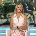 Dylan’s pink gingham check dress on Today