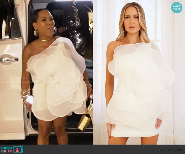 Fashion Nova Como La Flor Mini Dress worn by Kelli Ferrell on The Real Housewives of Atlanta