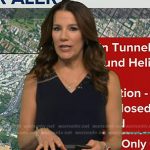 Heather’s navy embellished v-neck dress on Good Morning America
